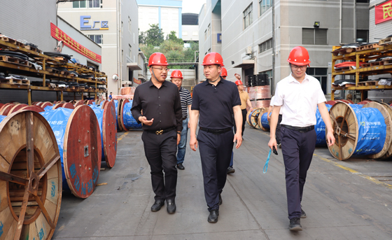 應(yīng)急管理部四川消防研究所、東莞市質(zhì)檢中心一行蒞臨民興電纜調(diào)研指導(dǎo)