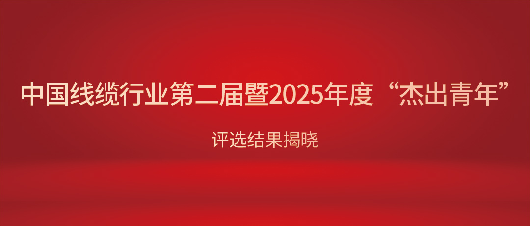 熱烈祝賀民興電纜總經(jīng)理楊彥榮獲中國線纜行業(yè)“杰出青年”！